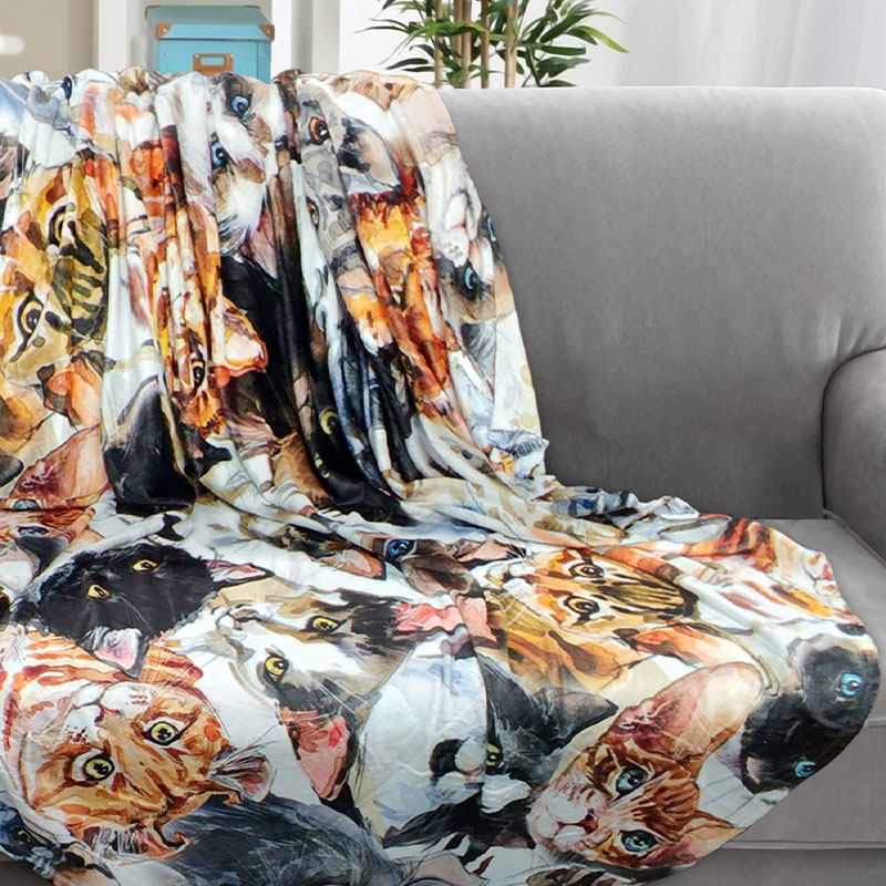 Fotos de mantas transfronterizas Impresión digital Manta de lana de brida tridimensional 3D Manta de aire acondicionado Tapa de tapicería Personalización de la imagen