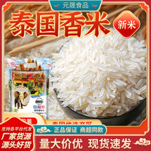 新泰國香米大米10/20斤原糧進口長粒香糯米茉莉香米秈米真空包裝