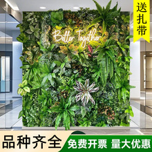 仿真草坪植物墙门头墙面装饰造景米兰塑料假草坪室内植物花墙绿植