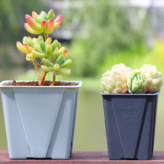 Miwei No. 4 Small Square Plastic Succulent Flower Pot, Creative and Simple, Suitable for Indoor Desktop Succulent Plants