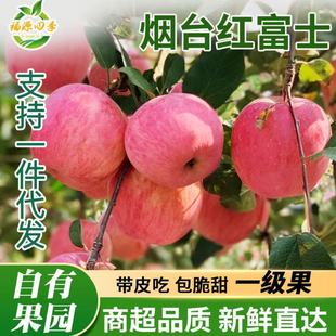 ���ڟ�̨��ϼ�t��ʿ�O�����r�O�����𑪼�ˮ��������]һ�����l