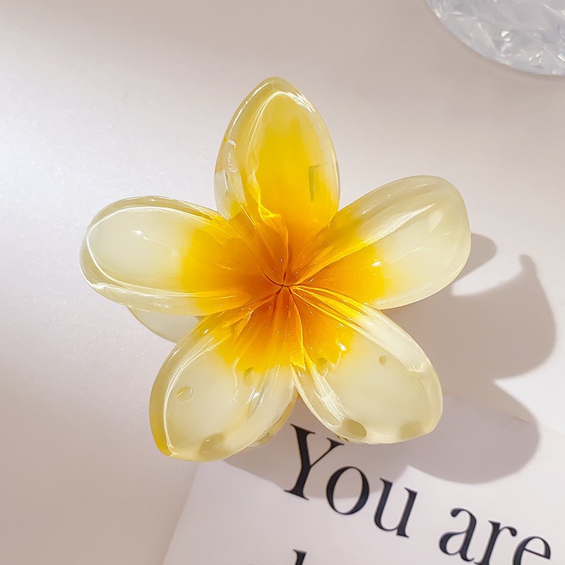 Simple flor grande clip de pelo femenino verano temperamento espalda Cabeza pelo agarre elegante updo pelo clip tocado horquilla accesorios para el cabello image 16