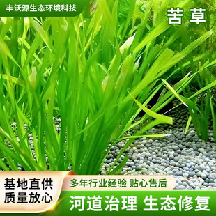 ���ˮ���Ѻ�β��˯ɏ�����ܴ̳��G�����ˮ�|���Nֲ��ˮֲ�����l