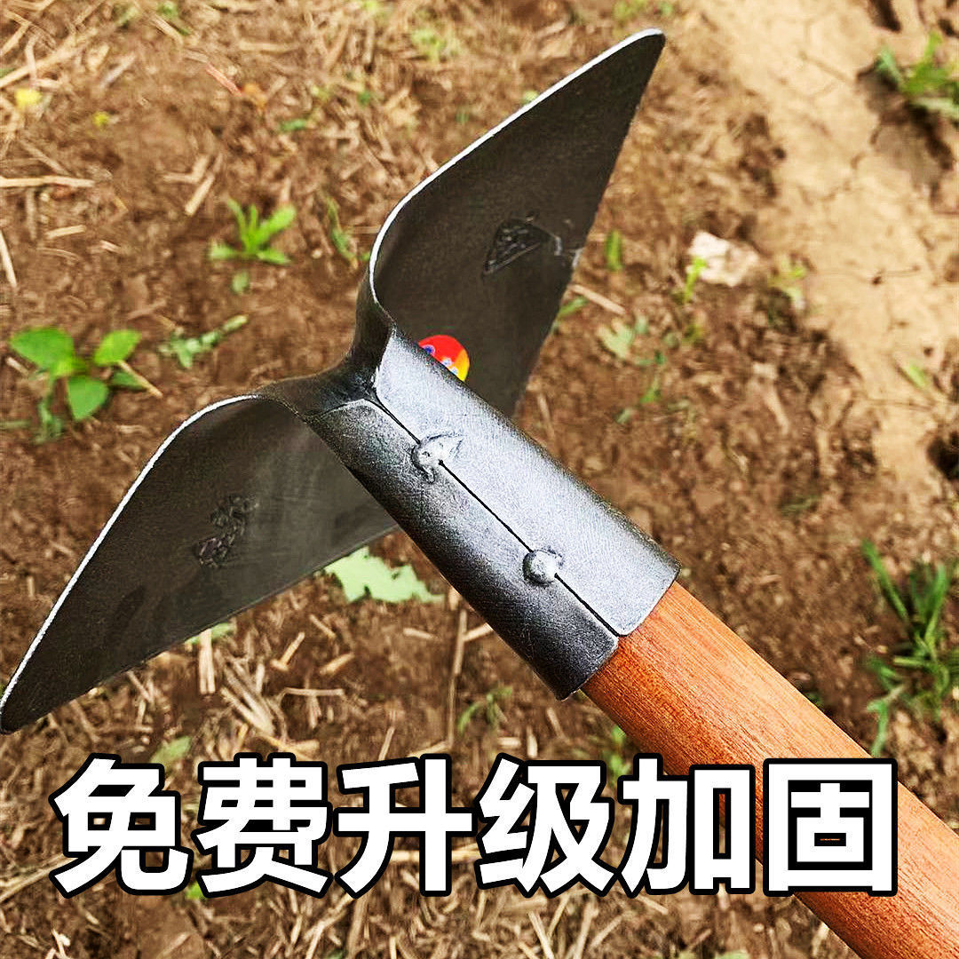 10e5be3a-9022-4da2-a4d9-e0e3ea