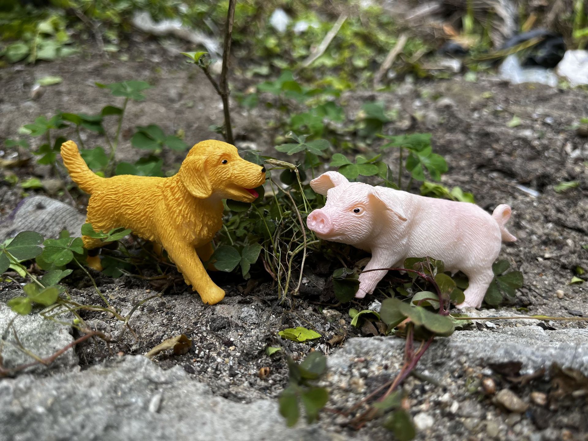 27FBD26C7A8EFBA1DFC7EEA6E0B675