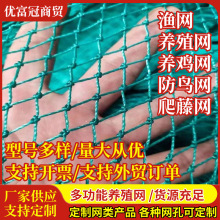 养鸡网养殖网围栏网拦鸡网家禽塑料网护栏网防护网菜园围网尼龙网