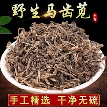 马齿苋中药材批发马齿苋 农产品 马齿笕农产品马齿苋代发货