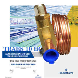 TRAES 10 HC|艾默生TRAES系列10冷吨紧凑型全密封式热力膨胀阀
