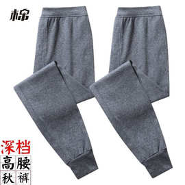男士纯棉秋裤高腰纯棉加大棉毛裤秋冬家居大码线裤保暖单衣单裤
