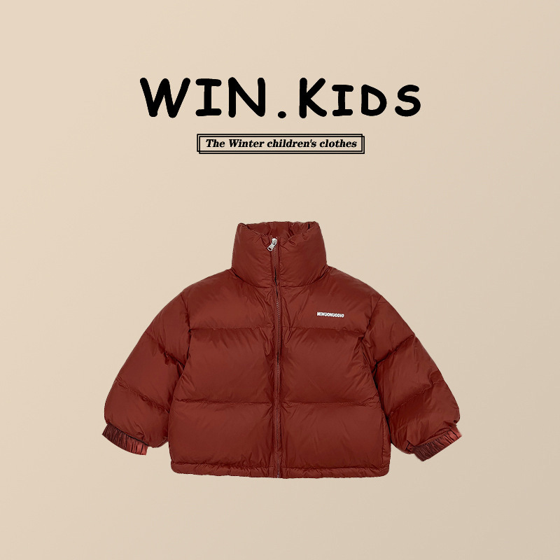Boys' Winter down Jacket 2025 New Winter Style Children's Outdoor Trendy Thickened Warm White Duck down Coat