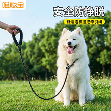 狗狗P链宠物P绳训练专用牵引绳小中大型犬防爆冲狗链子反光遛狗绳