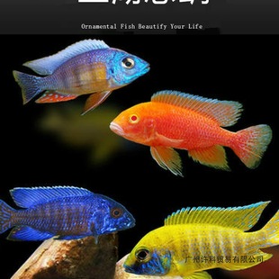 �����~���w���������R���s���~�Ꭷ��ˮ���B�ͻ���~���]����