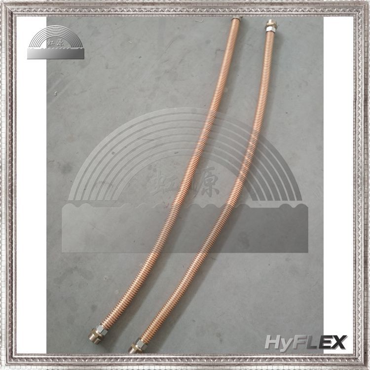 ȫͭƹܳ ϸ һ˿ һȿͭĸñ