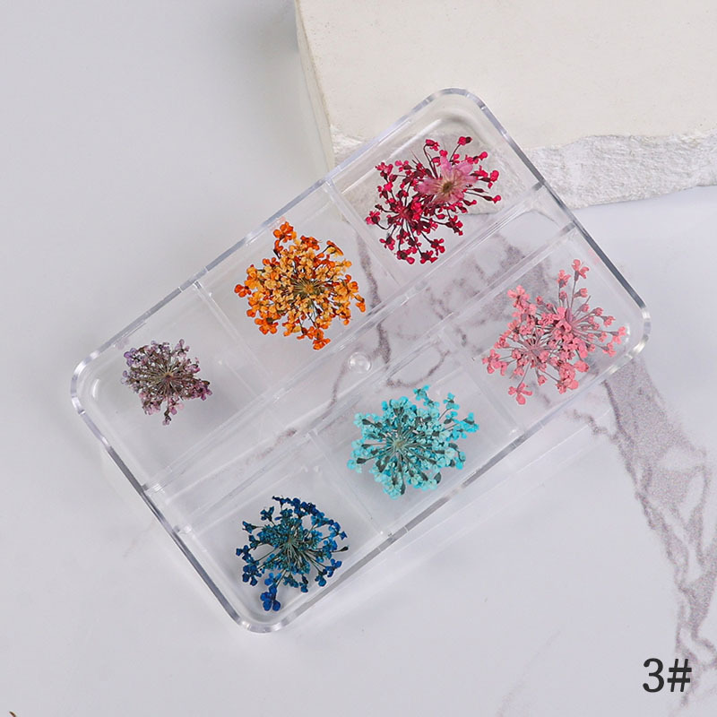 Uña flor seca japonesa pequeña fresca estrella de sol mixta flor real flor pequeña flor de manicura caja de flores secas manicura