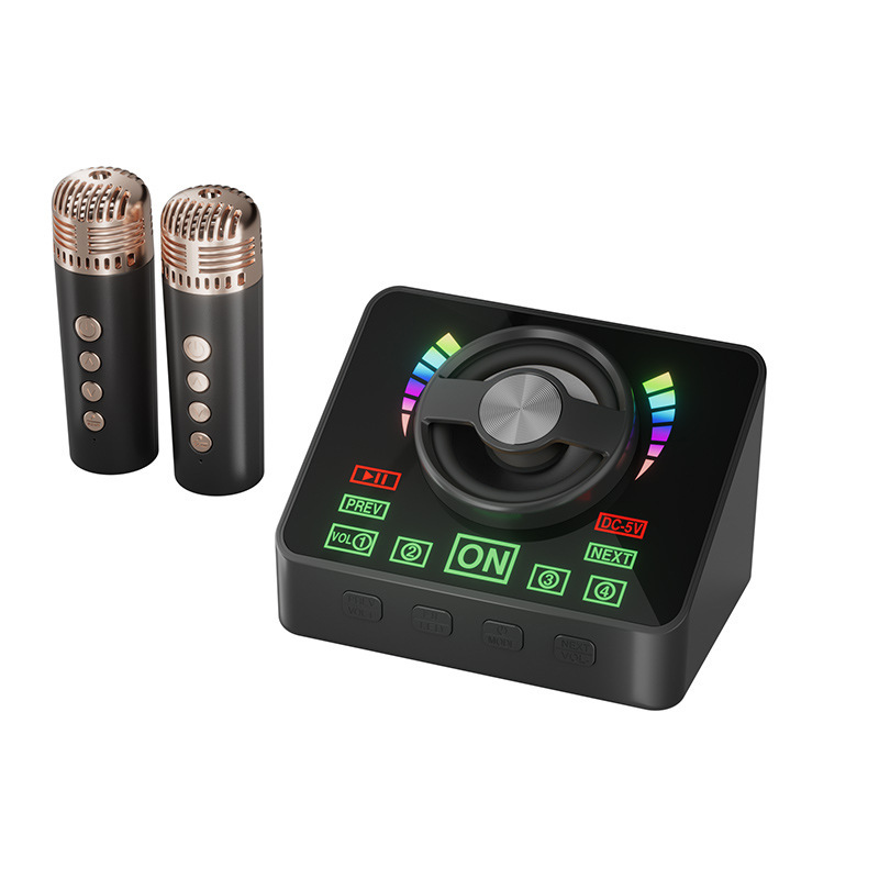 K12K30 Bluetooth カラオケ オーディオ オールインワン マイク マイク ライト付き アウトドア 子供 家族 KTV スピーカー セット|undefined
