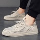 Summer Big Net Men's Shoes 2024 New Breathable Mesh Shoes Men's Casual Board Shoes Student Hollow Trendy Shoes Men's