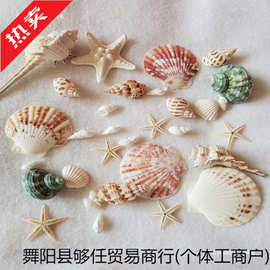 天然贝壳海螺海星材料包手工拍摄背景风铃漂流瓶鱼缸装饰套装