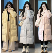 LqŮL^ϥ2025¿BñӺHq