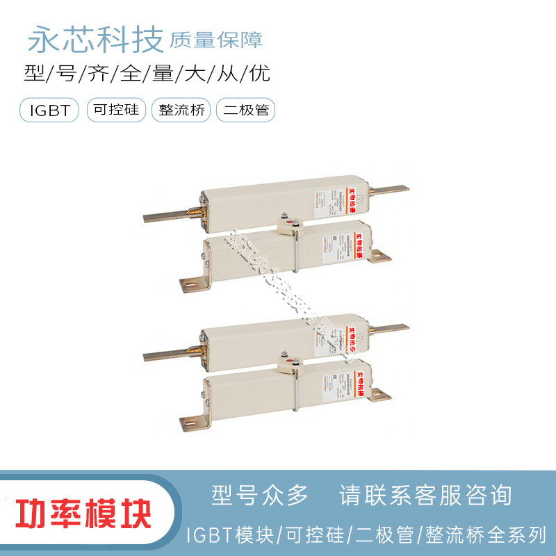 D300GC20C25P  D300GC20C32P全新快速熔断器保险丝原装现货供应