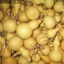 ��Ȼ�������J������J������J��ˇƷ�[����Ƥ���J�ؔ����l