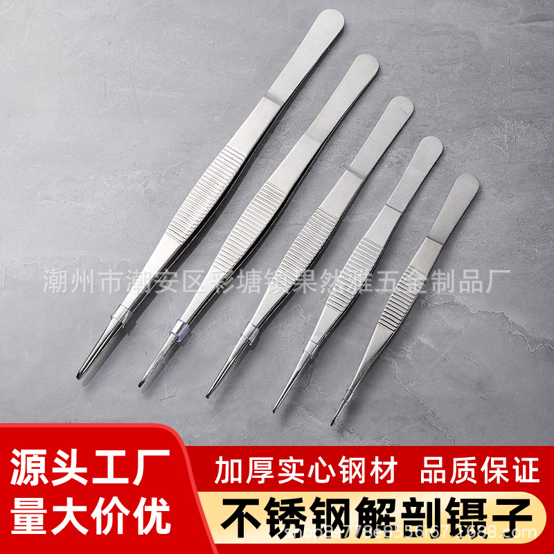 不锈钢解剖镊子细尖直头弯头镊子12.5-cm-30cm夹棉花敷料辅助工具