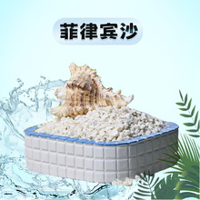 菲律宾沙寄居蟹专用低沙珊瑚沙鱼缸天然垫材矿物贝壳沙厂家直销