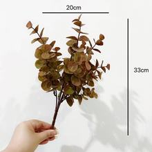 ����ֲ��5�����z�ȼ����Wʽ�Y�ò廨�bٻ���ɫ�Gֲ�辰���X�~