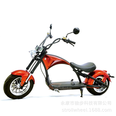 Balance Scooter Custom Processing, Elektrikli motosikletlər - electric-orange-60v20ah
