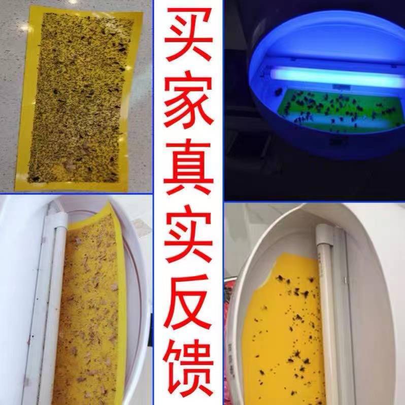 微信图片_20210728164654