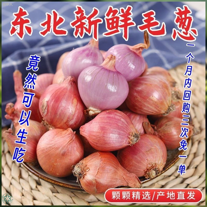 Отборная зеленая луковица северо-востока, выращенная на ферме, свежеобрезанная, специальный мелкий лук, круглый красный лук, мелкий зеленый лук, замаринованный в маринаде.
