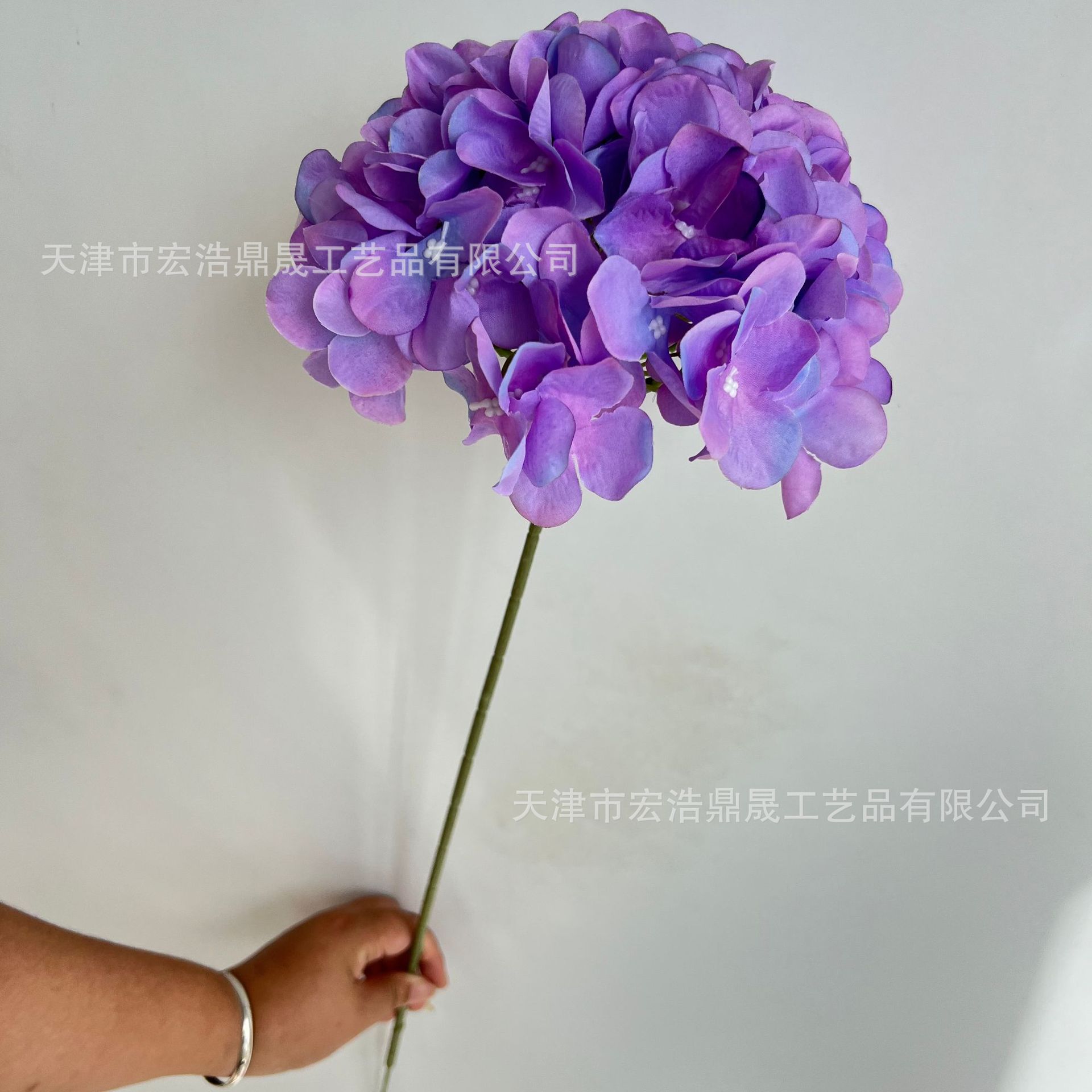 Hortênsia de Jade HY