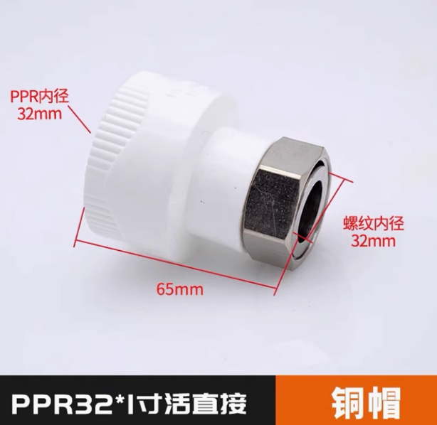 304 acero inoxidable ppr acoplamiento de acoplamiento