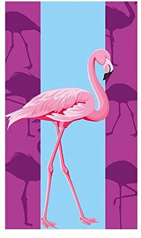 810y2CNAECL._AC_SL1500__看图王