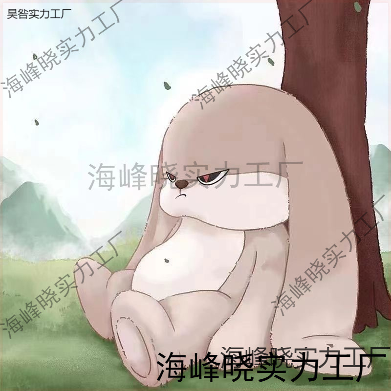 かわいいドゥドゥウサギのぬいぐるみ、ウサギの人形、かわいい枕、寝るときにベッドに寄り添う、Douyinのネットセレブと同じスタイル|undefined