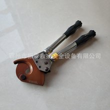 J13Сͽ^݆еzֳʽ|^LۙCеX݆