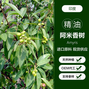 ������侫��ӡ�Ȯa�^���ͷ����沿���Ͱ�Ħ���͆η�����ԭ�����l