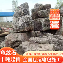 公园造景石头草坪石园林点缀景观石大型鱼池石头造景龟纹石风景石