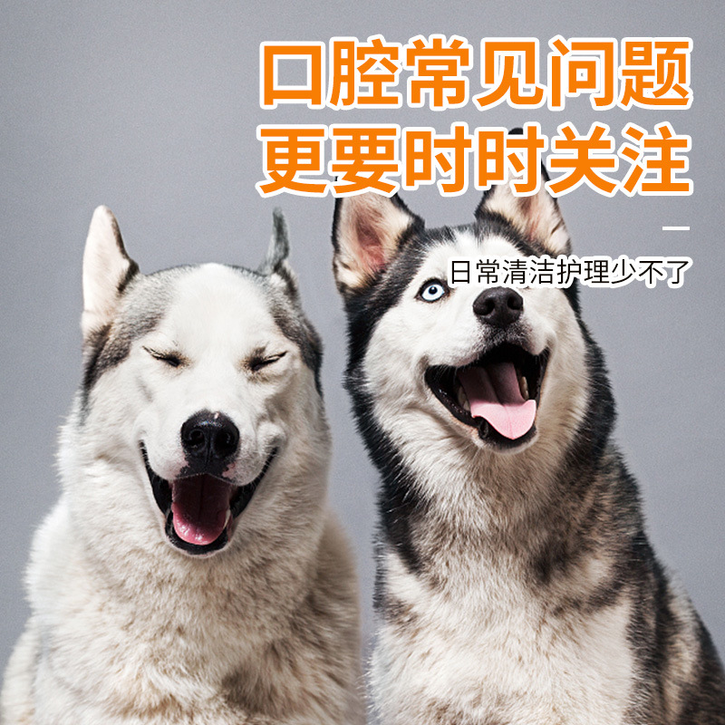 Стоматологический скребок для чистки зубов домашних животных Pet Story