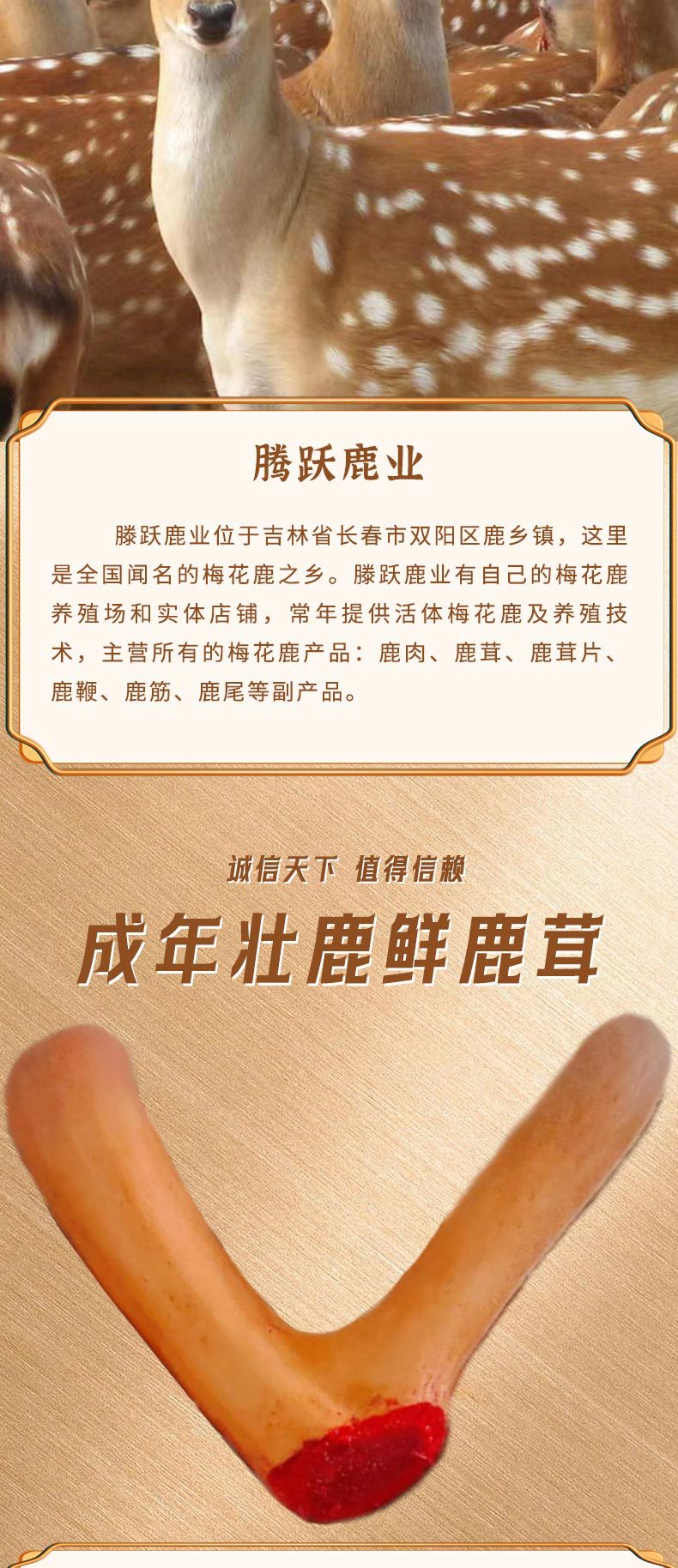 微信图片_20230324091429_02