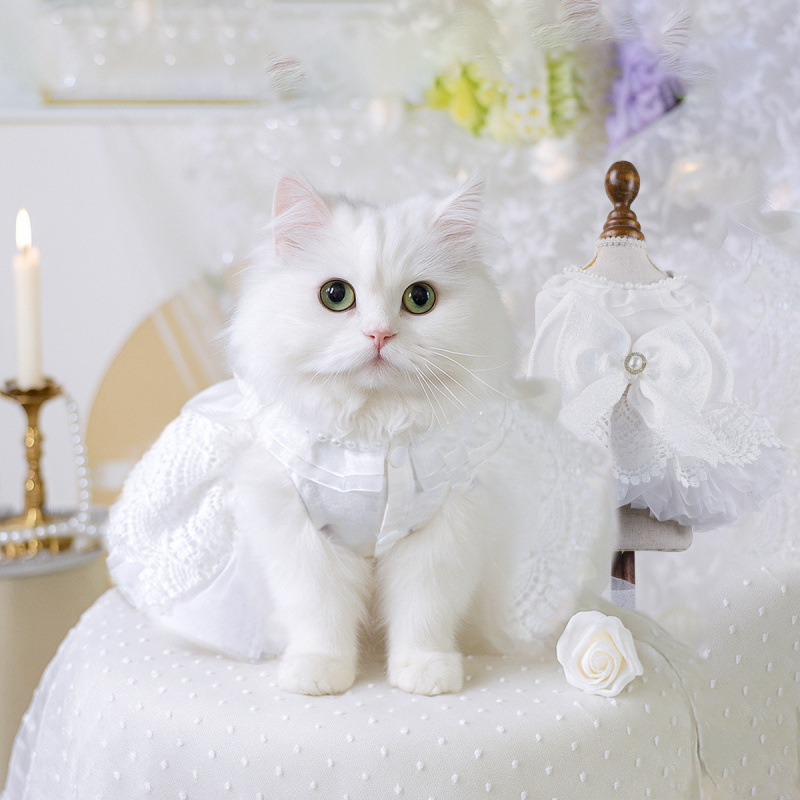 In-Stock Cross-Border Popular Pet Puppy and Cat Clothes Factory Direct Sale Elegant Princess Wedding Dress Collection