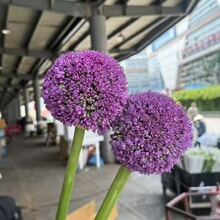 ���[���R��ľ�����������B�M�ڻ������л�ƿ����ϻ���ֱ�l
