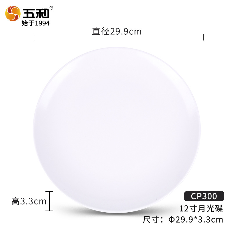 12 인치 월간 CD CP300