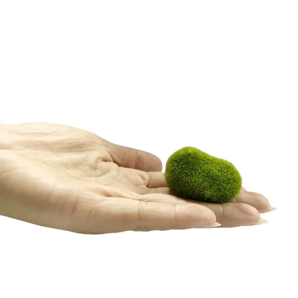 Hot -selling simulation green algae ball simulation tree root tree holes to avoid house micro -landscape aquarium landscape simulation green moss stones