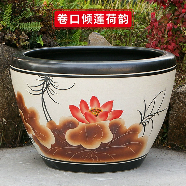 The charm of lotus and lotus in the roll mouth