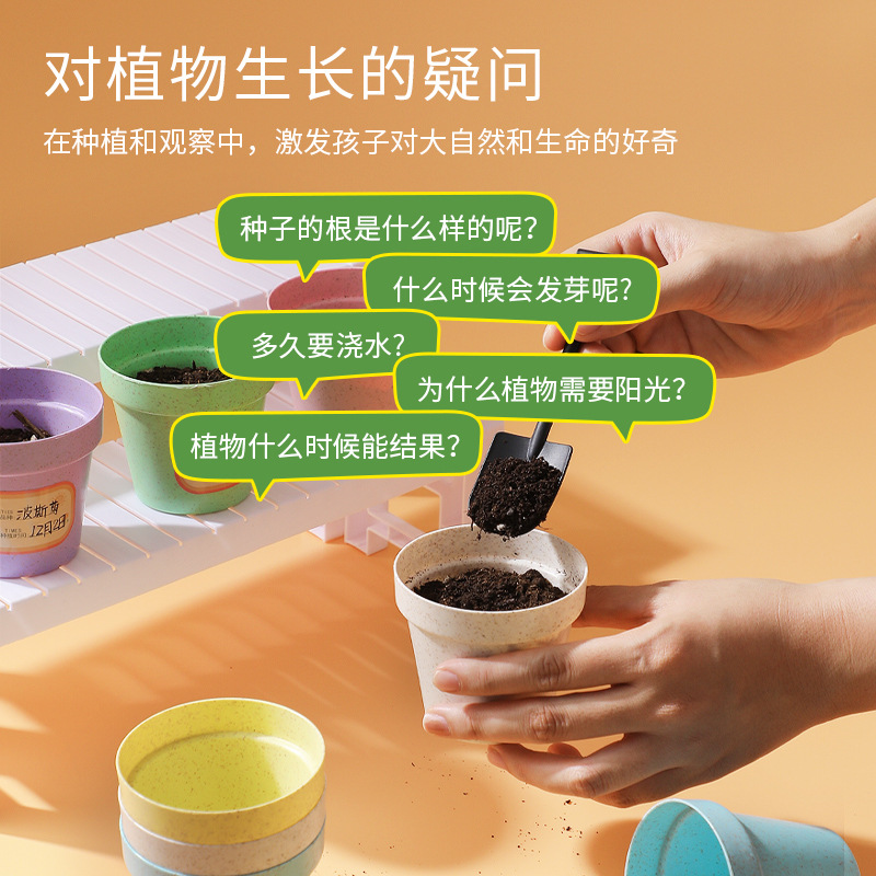 Planta de mesa para niños mini plantas verdes creativas pequeñas plantas de fresa girasol al por mayor