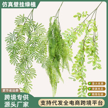 ����Gֲ��˹�Dާ�ڒ��ٗl��c�b�Ӱ���̈��������ֲ��ާ�����