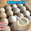 泰国椰皇新鲜椰宝椰子进口椰王鲜椰子当季老椰子椰青批发一件代发|ru