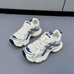 Old Dad Shoes Thick Sole Anti-Slip Korean Version Unique Style Versatile Mesh Design Breathable Women's Shoes Winter New Casual Shoes