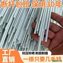 �����w�S���T���߲˼ܗU�z�ϷN������ϼ����S�ϴ����ٶ��Ǽܴ��