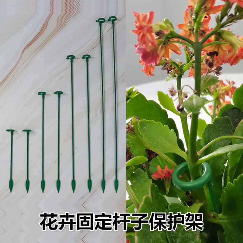 Садоводство Бонсай Поддержка Ротанг с крючком вилка фаленопсис леса цветы завод фиксированный столб защитная рама горшка